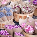  , flower market  