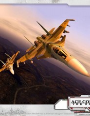   Ace Combat Zero - ,   