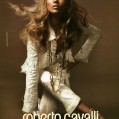 cavalli