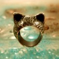  cat ring