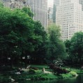   Central Park, N.Y.C  