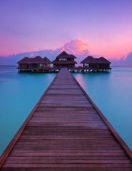  , , Maldives - ,   