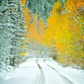   , autumn snow  