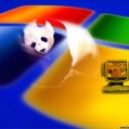 Windows XP -     windows XP  