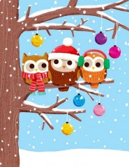  Christmas Owls,  - ,   