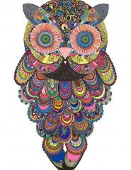  owl, ,  - ,   